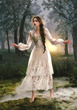 「蝶の記」トップ