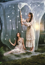 「蝶の記」トップ